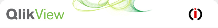 Qlik View