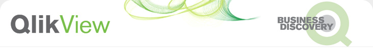 Qlik View